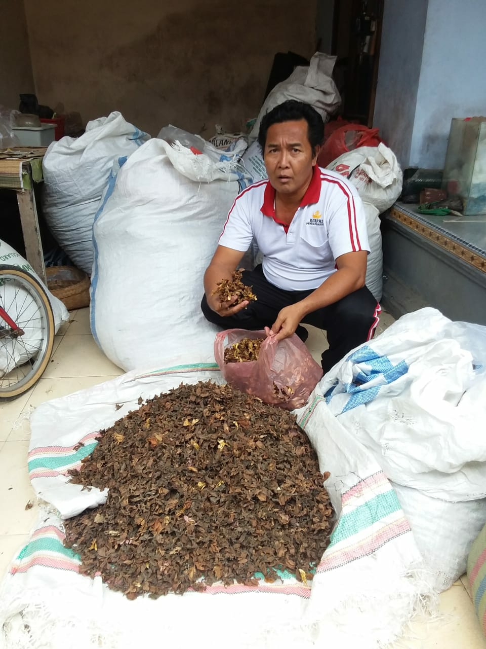 Dokumentasi dari - Permintaan Bunga Jepun Kering dari Taiwan  Belum Terpenuhi Akibat Harga Murah