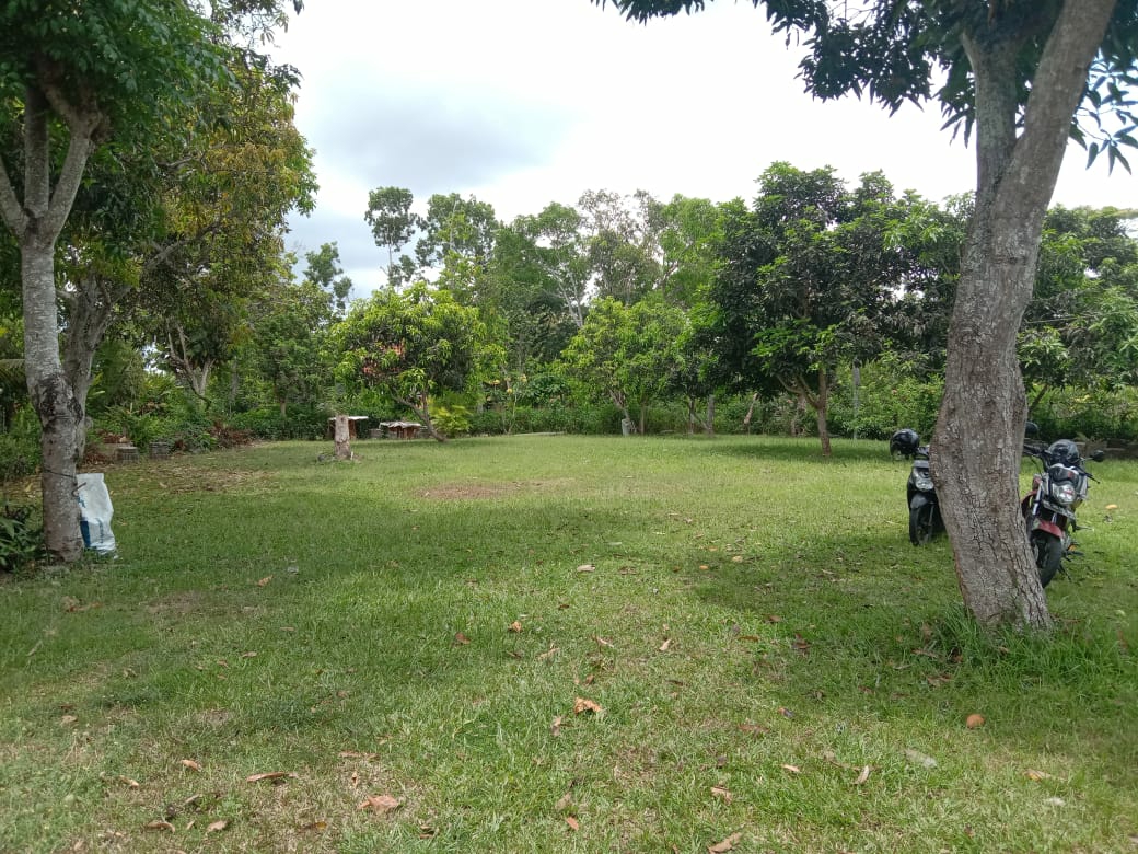 Dokumentasi dari - Agro Bela Negara Gunung Ayu Jadi Arena Pradiklatsar Menwa Ugrasena Unud