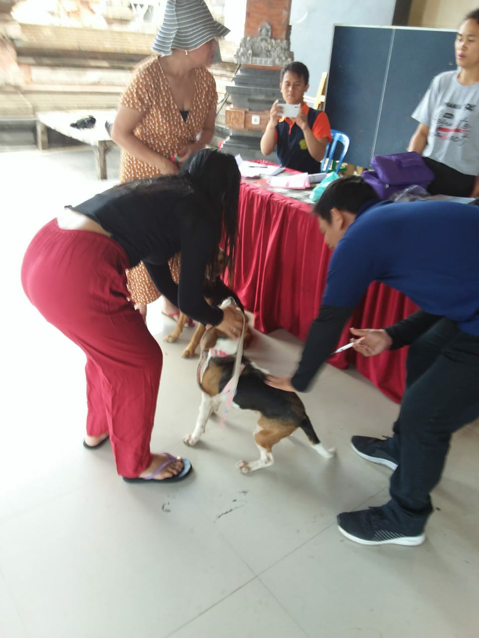 Dokumentasi dari - Kades Lana, Pantau Petugas Vaksinasi Massal Rabies di Canggu
