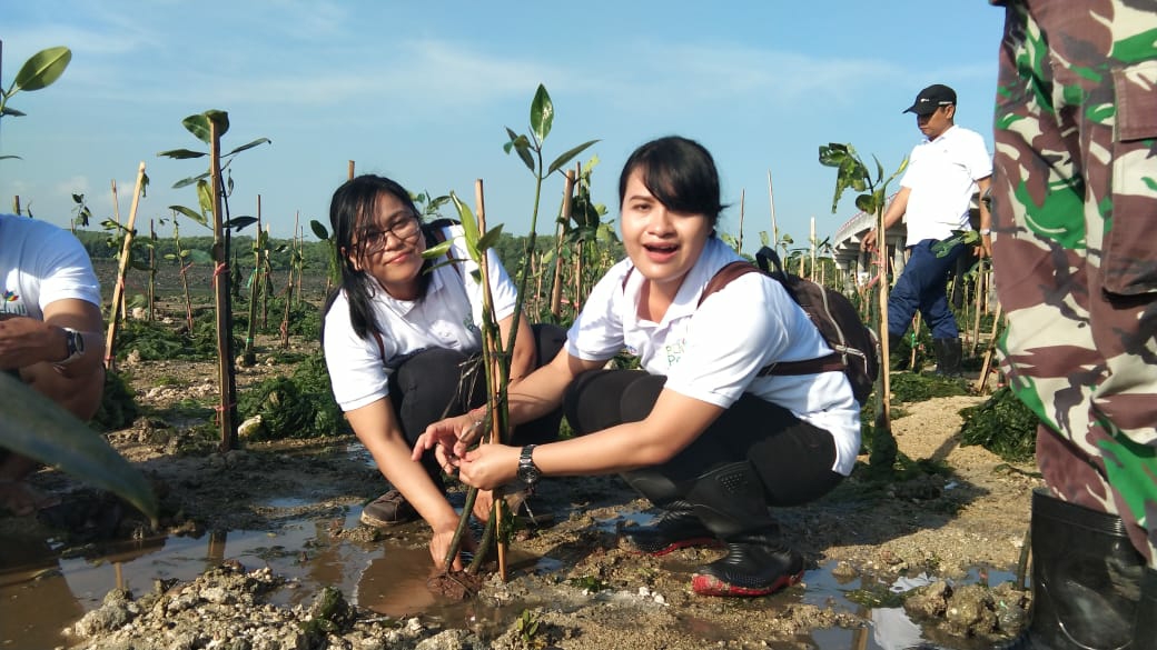 Dokumentasi dari - PLN Bali Tanam Mangrove, Sayangkan Oknum Rusak Berkedok Ekonomi 