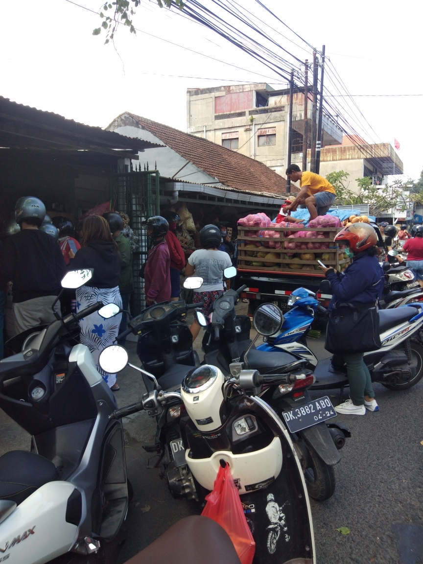 Dokumentasi dari - Harga Kelapa Gading Melangit Rp20.000/Biji