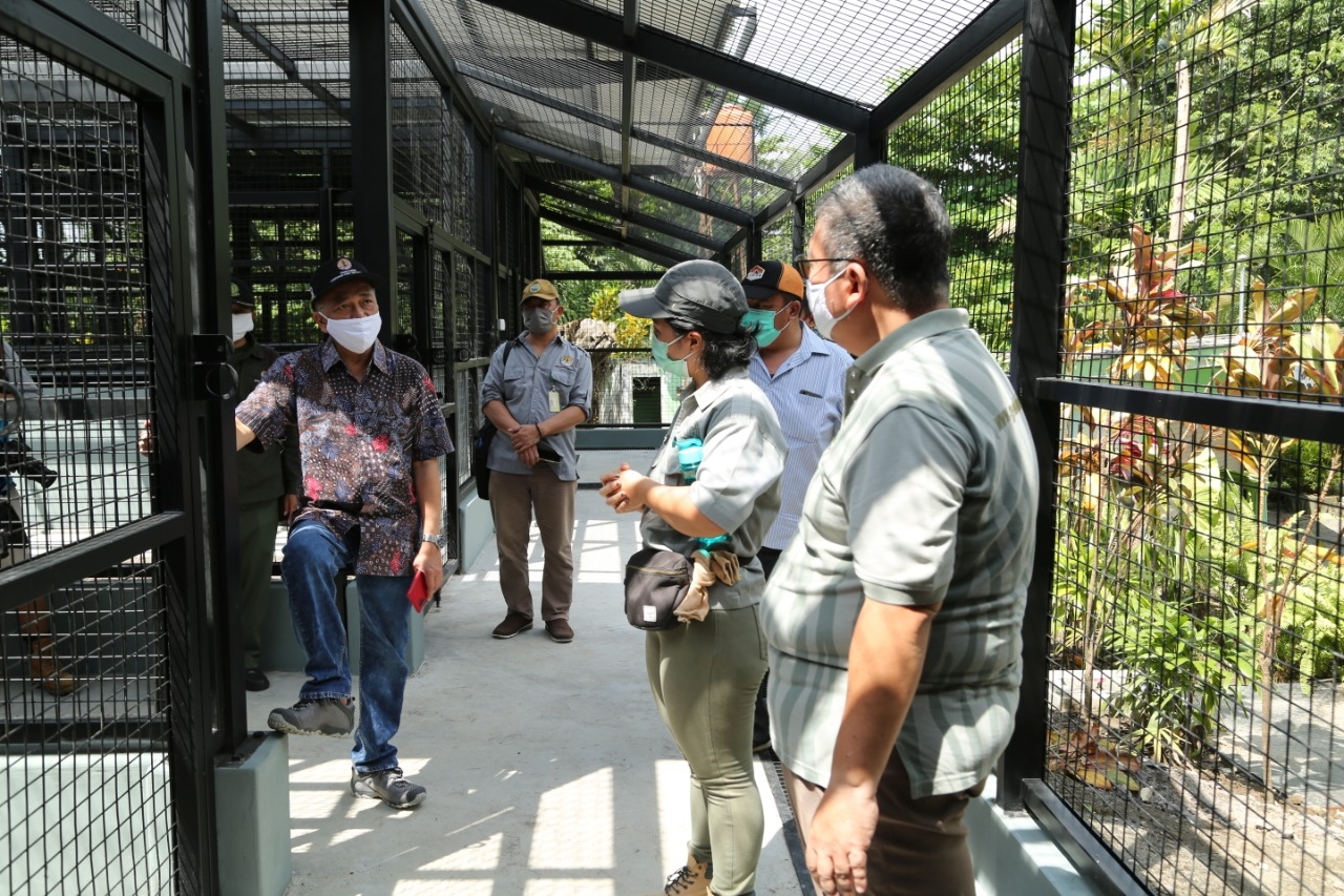 Dokumentasi dari - Bantu Lembaga Konservasi, Dirjen KSDAE Tinjau Kebun Binatang Gembira Loka