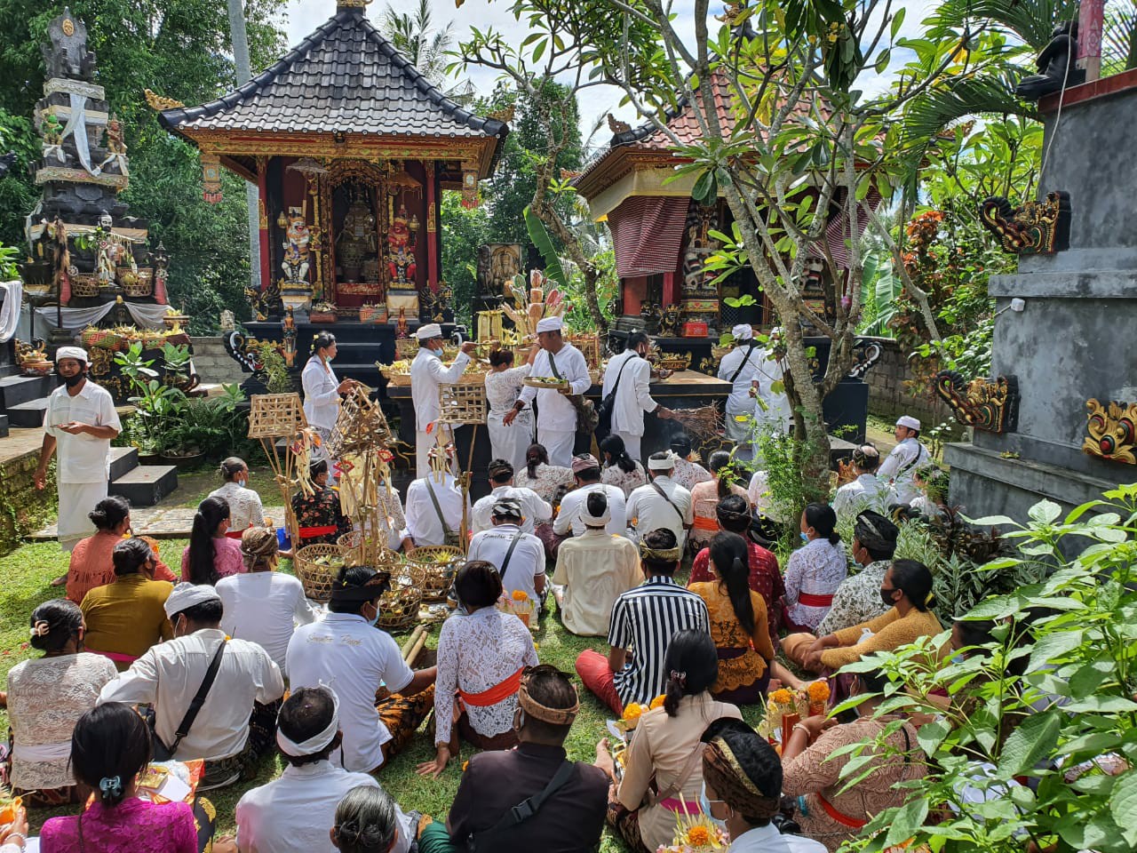 Dokumentasi dari - Ratusan Orang Mebayuh Oton dan Sapuh Leger Saat Tumpek Wayang