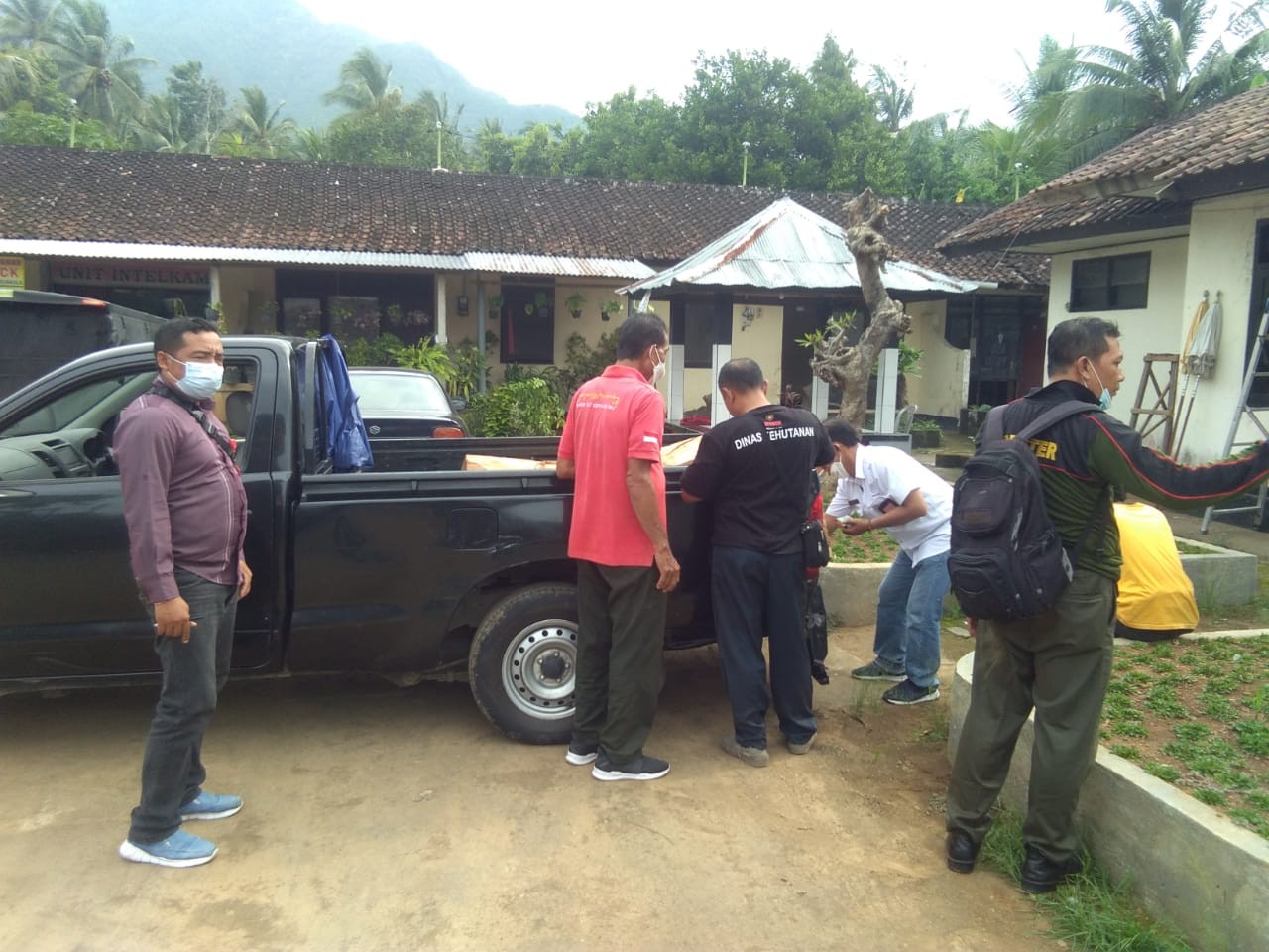 Dokumentasi dari - Polsek Tejakula Tangkap Suwita Diduga Pencuri Pohon Sonokling  