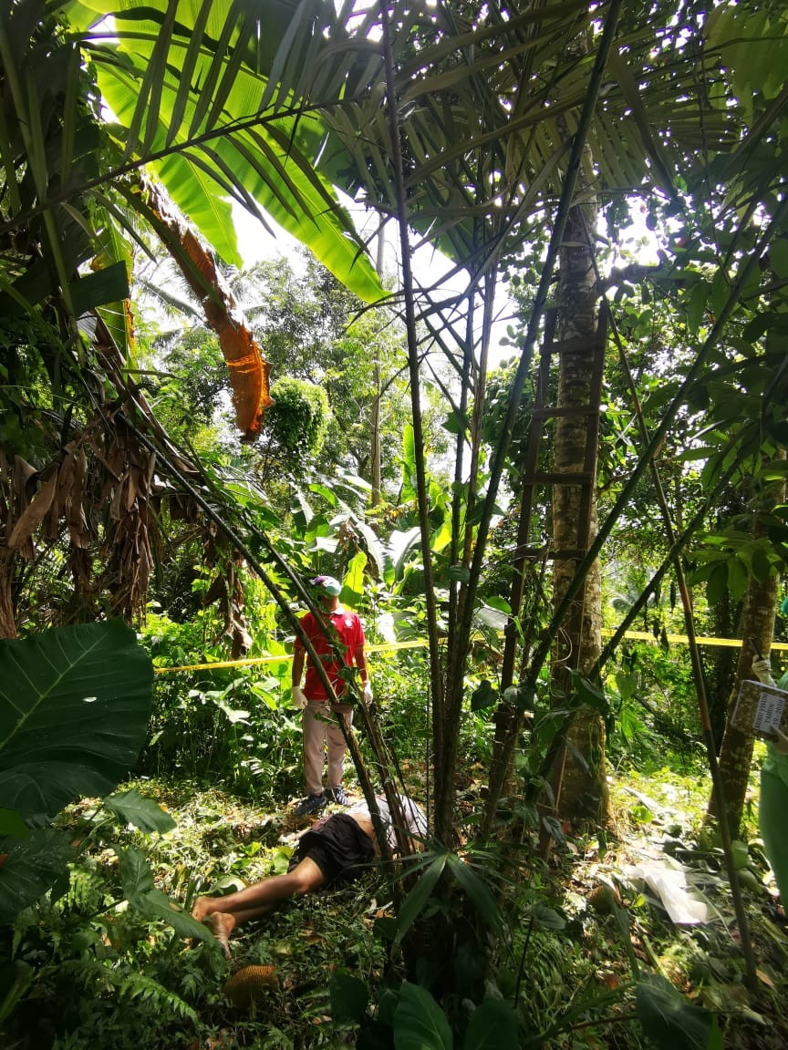 Dokumentasi dari - Warga Karangasem Kepek Tewas, Jatuh dari Pohon Nangka 