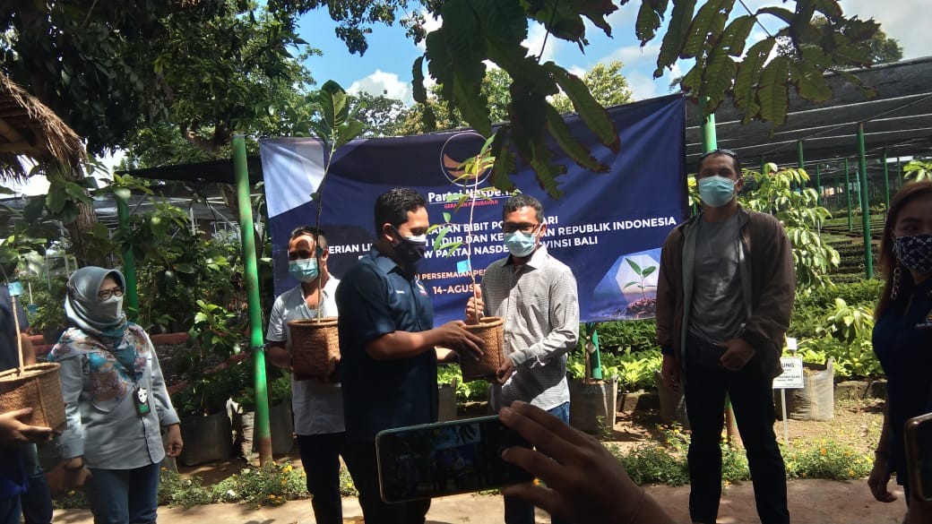 Dokumentasi dari - Pariwisata Terpuruk, NasDem Bali Bagikan 4500 Bibit untuk Dorong Petani Milenial 