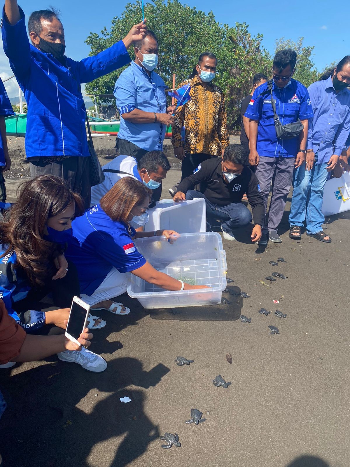 Dokumentasi dari - HUT Partai Demokrat, DPC Buleleng  Lepas Tukik