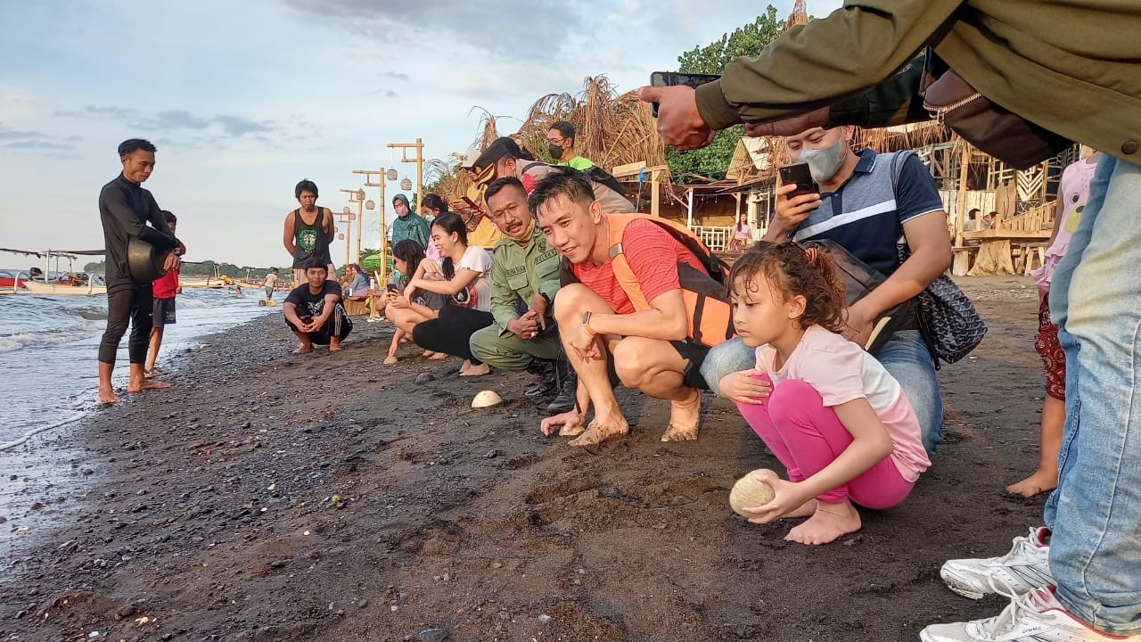 Dokumentasi dari - Kapolres Buleleng Lepas Puluhan Tukik di Pantai Penimbangan Buleleng
