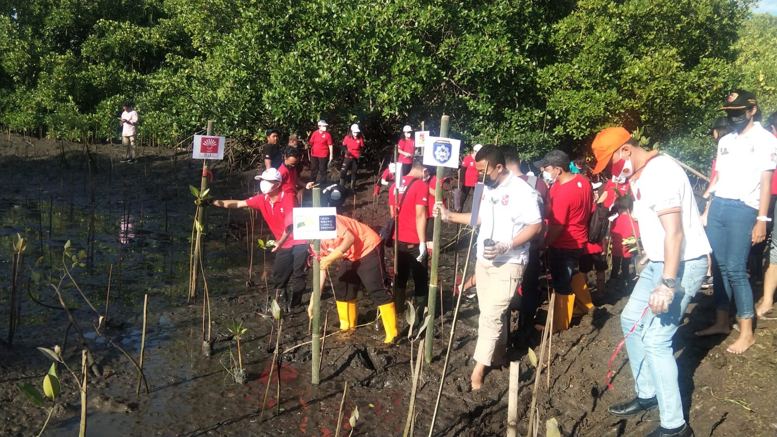 Dokumentasi dari - INTI Bali Tanam Mangrove Dukung Sukseskan G20