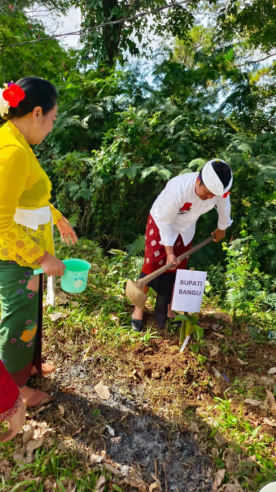 Dokumentasi dari - Tumpek Wariga, Pemda Bangli Laksanakan Bakti Wana Kerthi di Pura Pucak Hyang Ukir