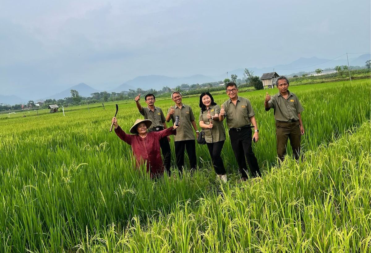 Dokumentasi dari - Ekspansi ke Pulau Bali, Beras Japonika Koshihikari: Makan Nasi Sehat Anti Gemuk