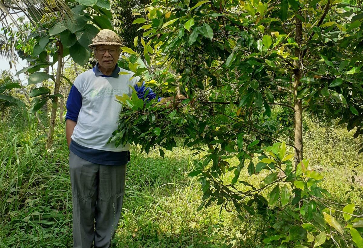 Dokumentasi dari - Kontroversi Sejumlah Proyek di Bali, Pendekatan GRID dalam Pembangunan