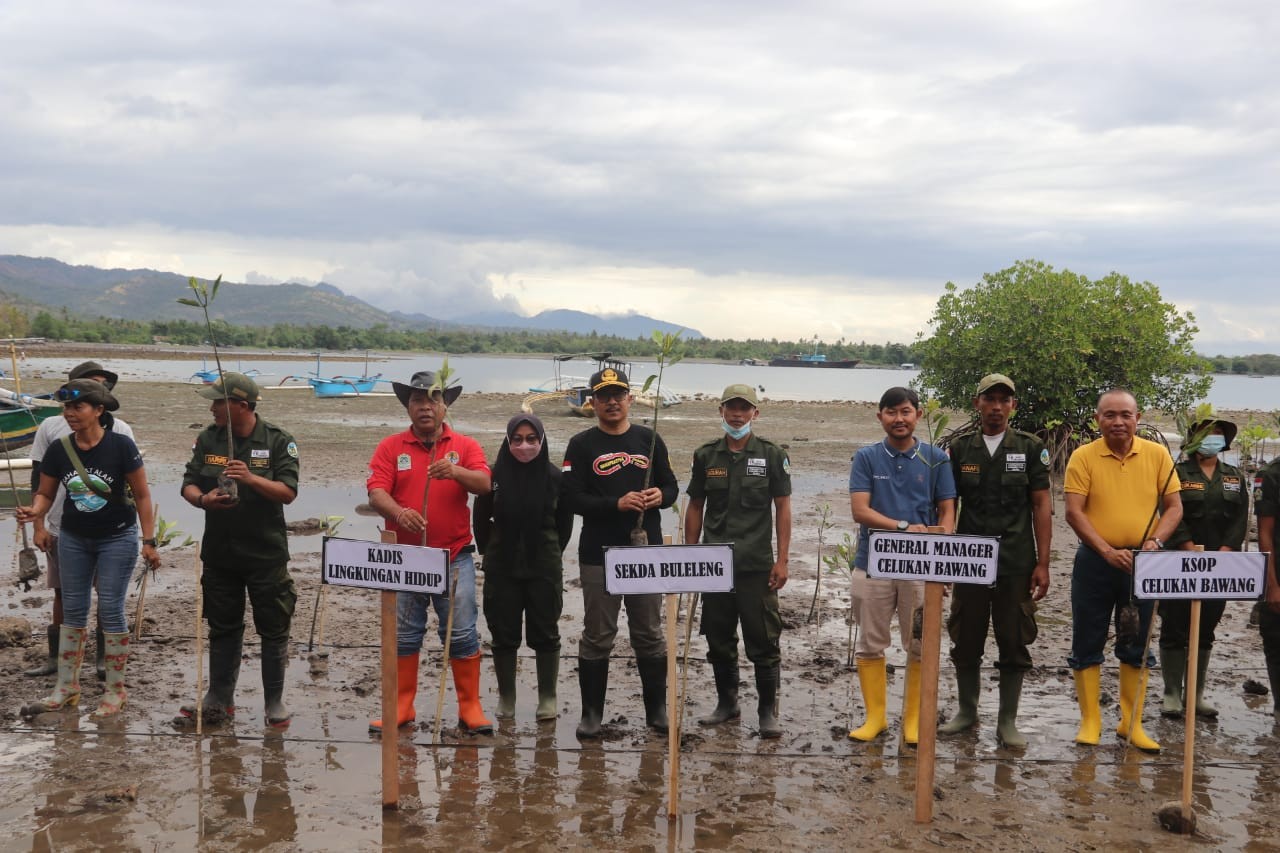Dokumentasi dari - Ribuan Bibit Pohon Manggrove Ditanam, Jaga Ekosistem Pesisir Pantai