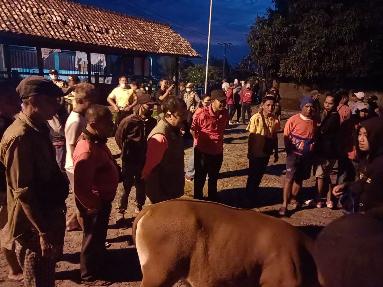 Dokumentasi dari - Sekda Sedana Merta Buka Kembali Pasar Hewan Bebandem