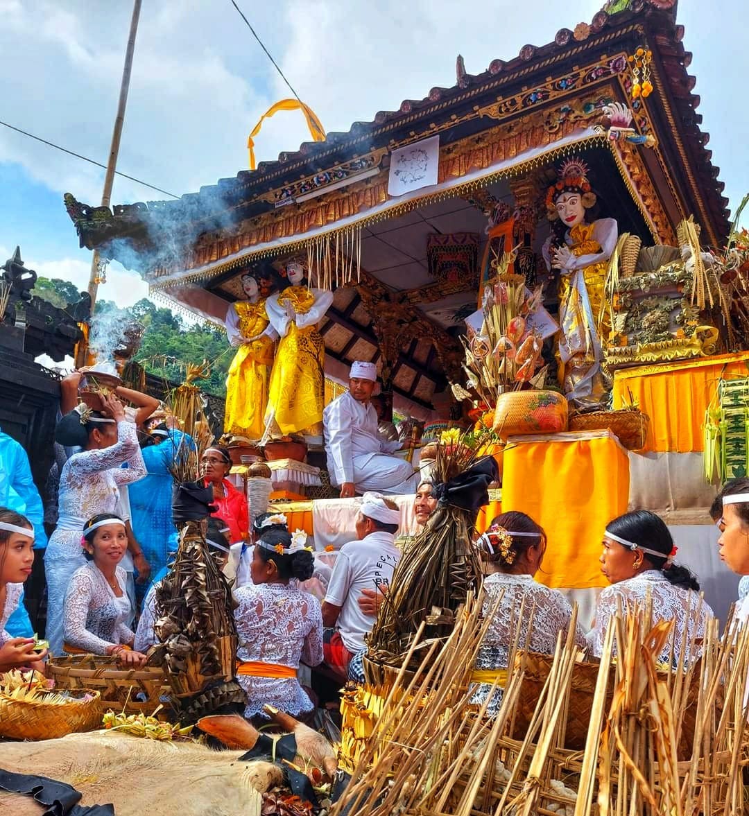 Dokumentasi dari - Karya Agung Pura Pajenengan Ida Bhatara Putra I Gusti Gede Blayu PGSDT Desa Dukuh, Setelah Terakhir Digelar 300 Tahun Lalu