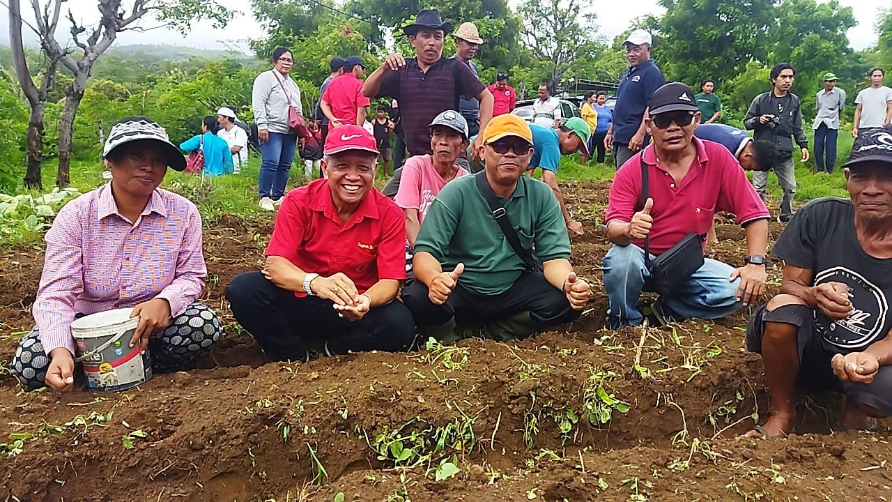 Dokumentasi dari - Rektor Undwi Dorong Bangkitkan Kejayaan Jagung Gembal Buleleng