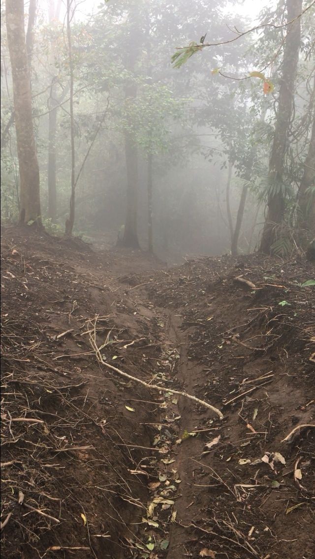 Dokumentasi dari - Dr. Gede Suardana: Jalur Trekking Offroad Motor Rusak Hutan