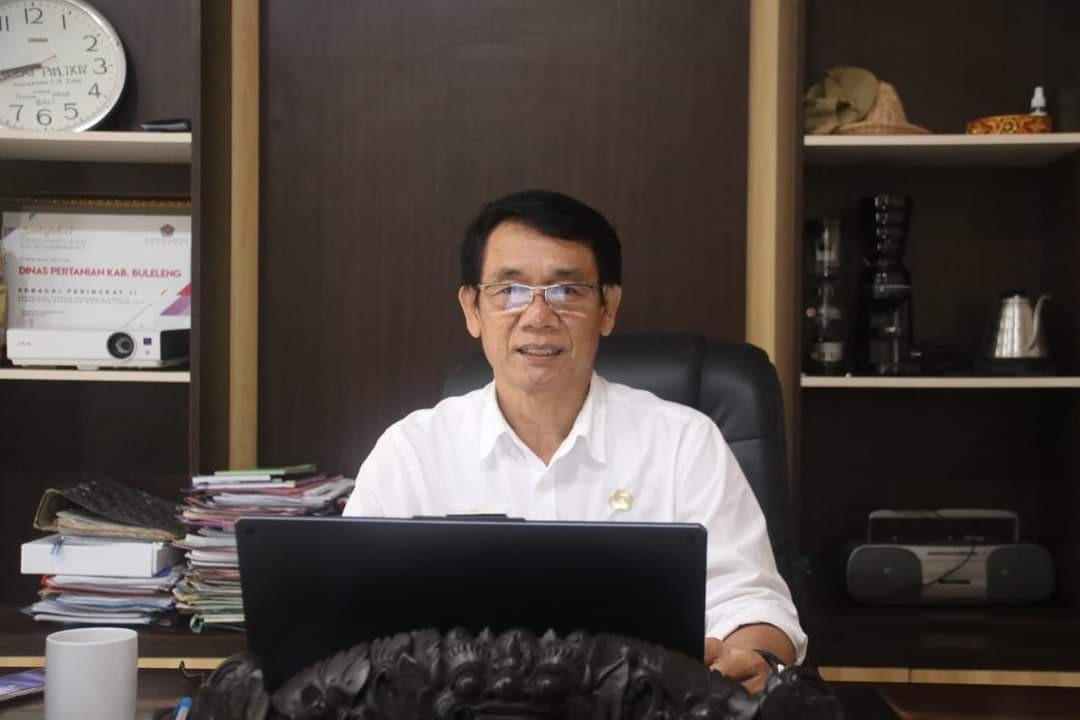 Dokumentasi dari - Pasca Ratusan Babi Mati di Desa Bila, Distan Buleleng Ajak Pengusaha Ternak Jalin KIE