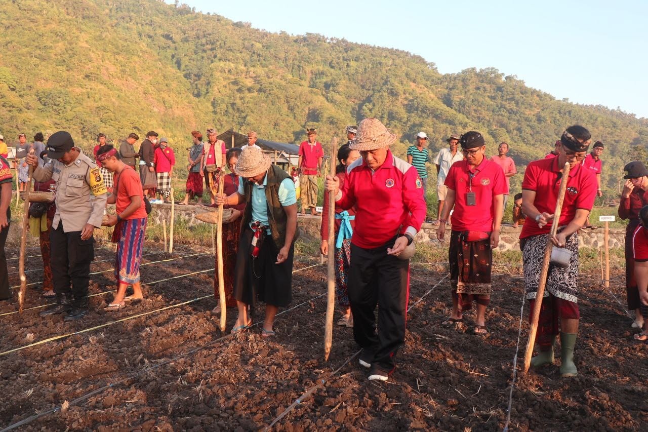 Dokumentasi dari - Target 400 Hektar, Bupati Gede Dana Awali Gerakan Tanam Jagung di Subak Datah