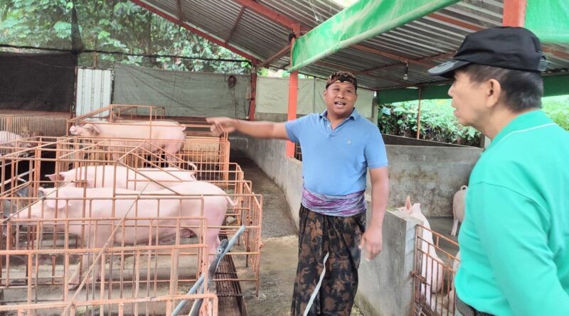 Dokumentasi dari - Mangku Pastika Kunjungi Kelompok Ternak Sekardadi, Kembangkan Peternakan Babi Modern