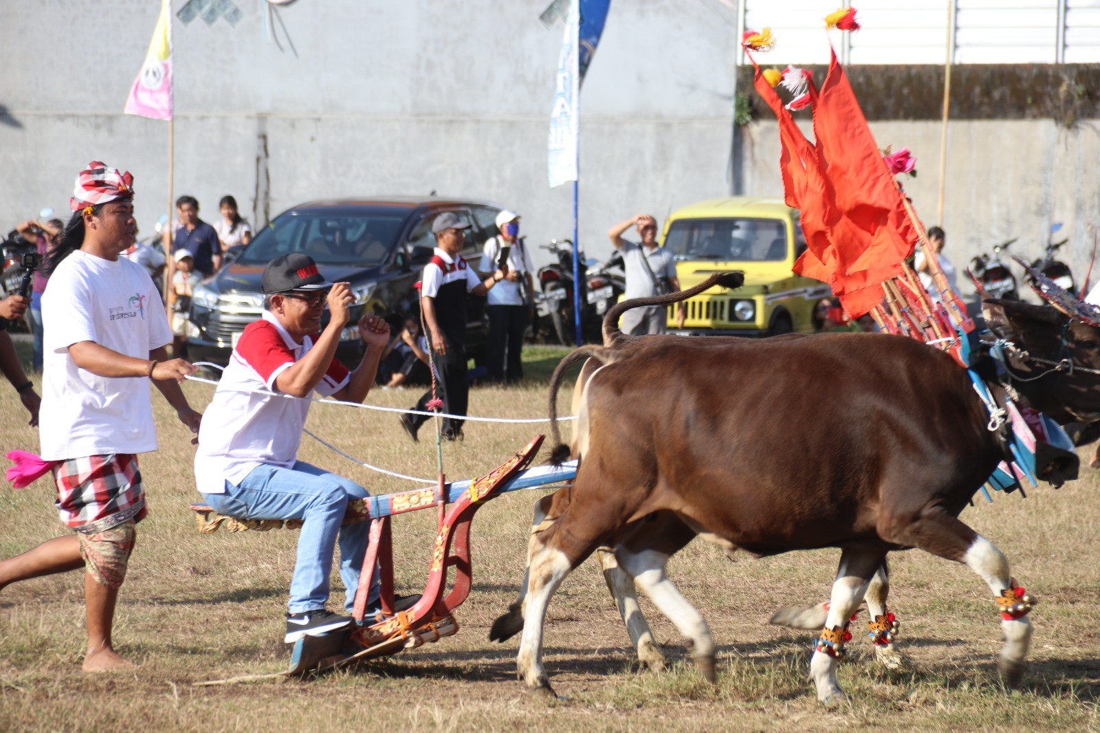 Dokumentasi dari - Desember Mendatang, Parade dan Lomba Sapi Gerumbungan Kembali Digelar Desember 2023