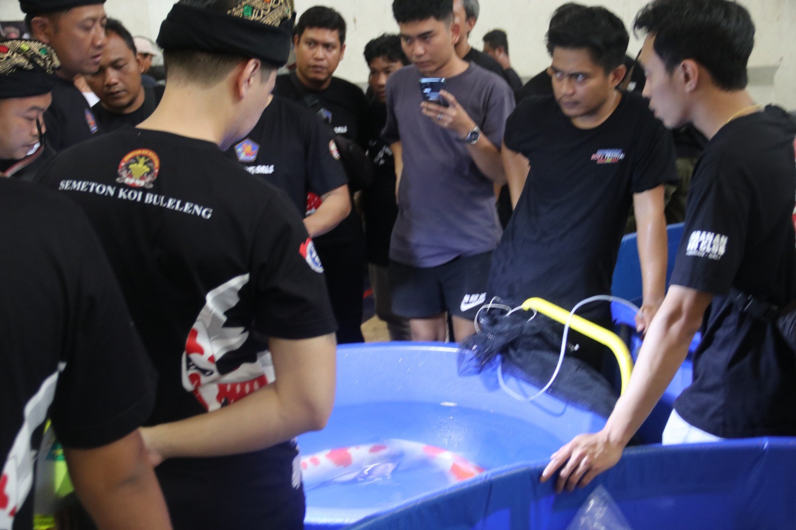 Dokumentasi dari - Buleleng Koi Fest Pertama Mendapat Sambutan Antusiad Pecinta Ikan Koi dari Bali dan Jawa