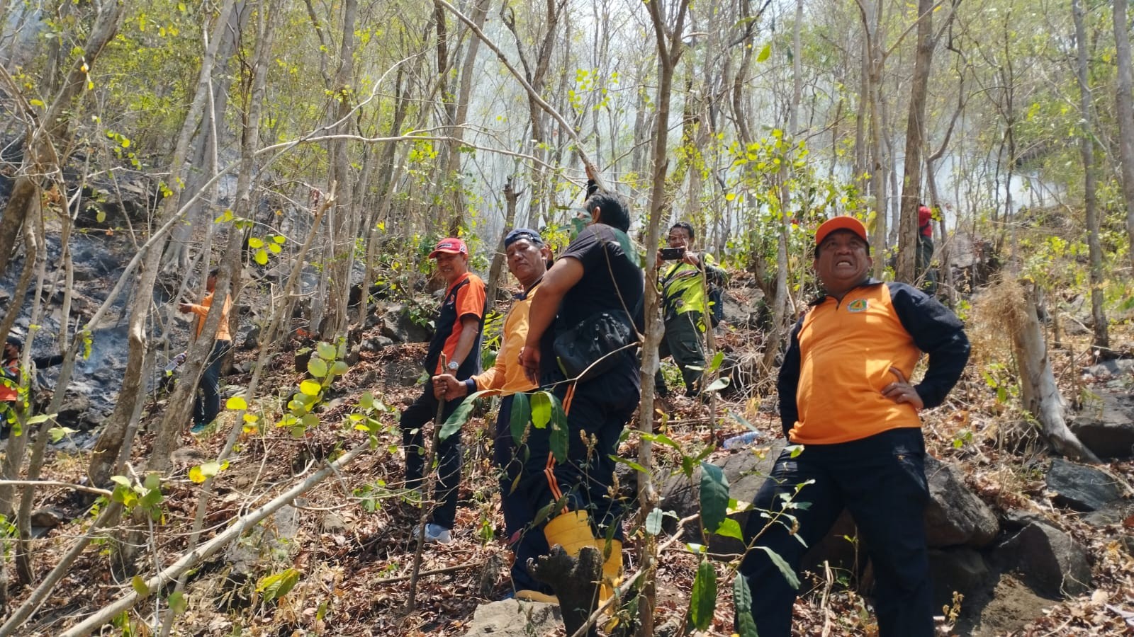 Dokumentasi dari - Hutan Negara di Daerah Tejakula Buleleng Terbakar