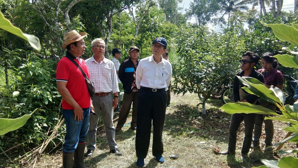 Dokumentasi dari - Ngrombo Pertanian, Mangku Pastika Kunjungi Crowd Funding Petani Alpukat
