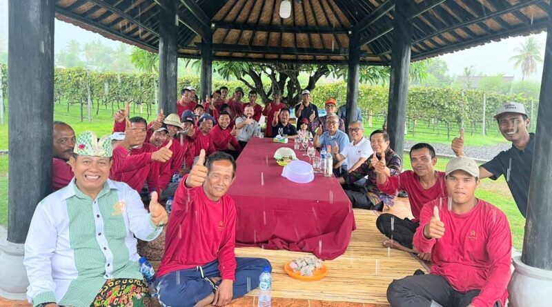 Kebun Anggur di Sangga Langit, Hatten Wines Gandeng Petani