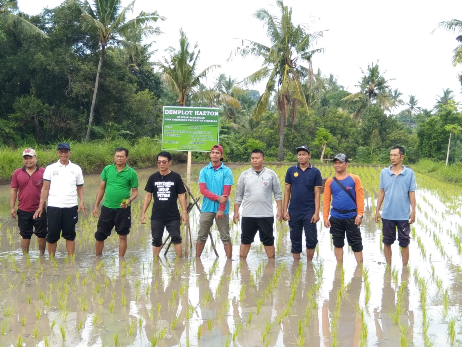 Dokumentasi dari - Inovasi Pertanian dengan Hazton Tingkatkan Produksi Padi di Buleleng