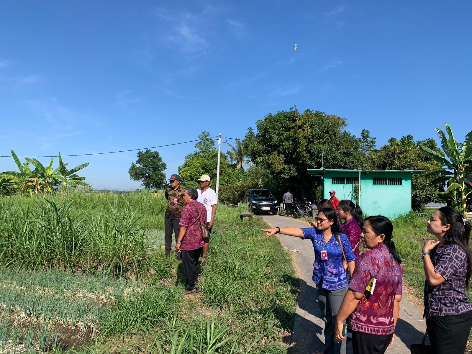 Dokumentasi dari - Jaga Ketahanan Pangan, Pemkab Buleleng Pantau Langsung Kondisi Petani