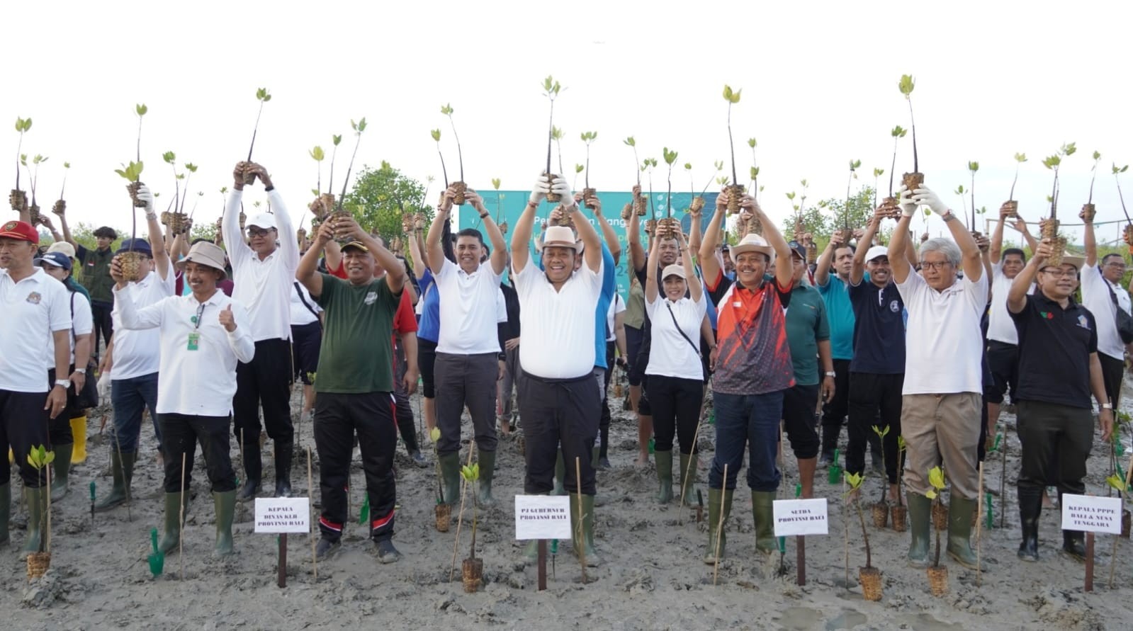 Dokumentasi dari - Rehabilitasi Mangrove Arboretum Park, Pj. Gubernur Bali Jaya Apresiasi Masyarakat Peduli Terhadap Lingkungan 