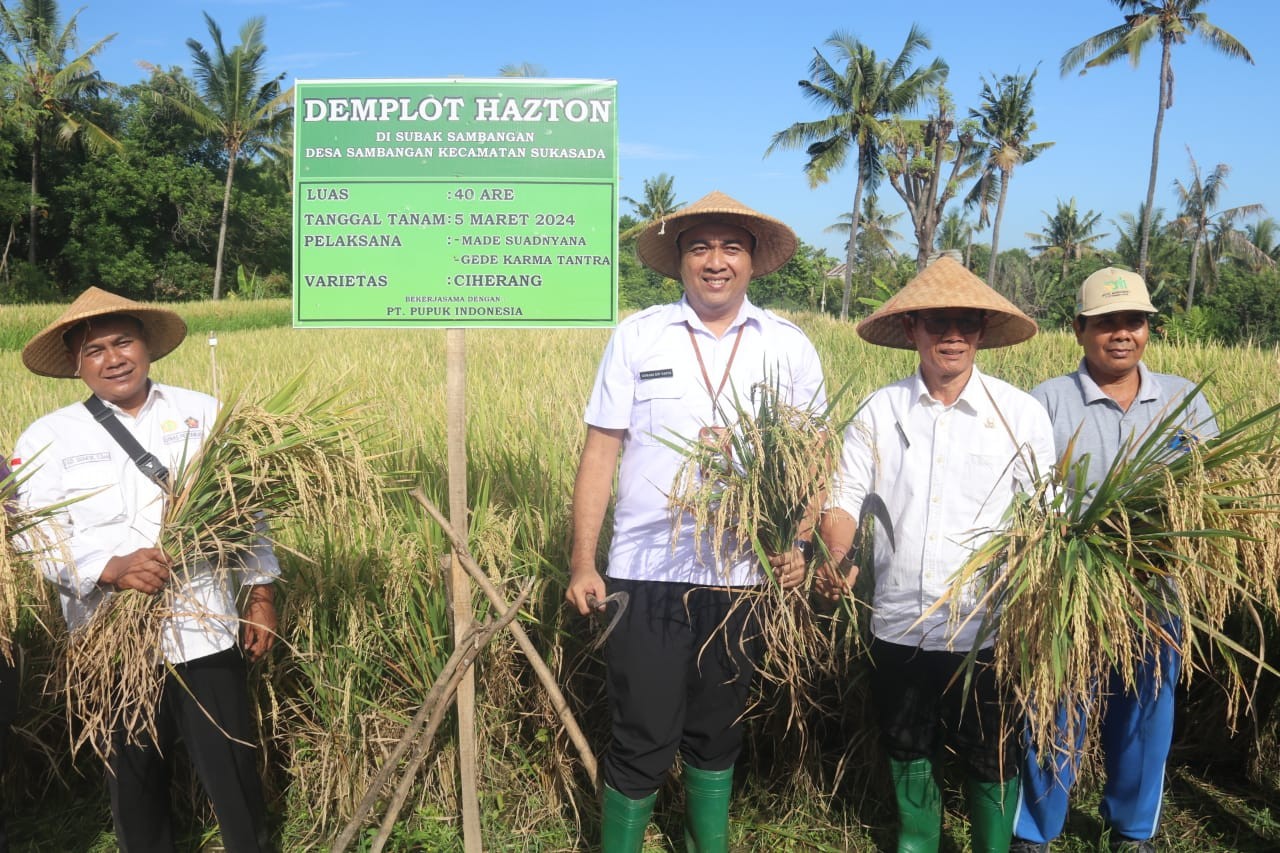 Dokumentasi dari - Melalui Metode Hazyon, Subak Sambangan Berhasil Tingkatkan Produksi Gabah Hingga 50 Persen