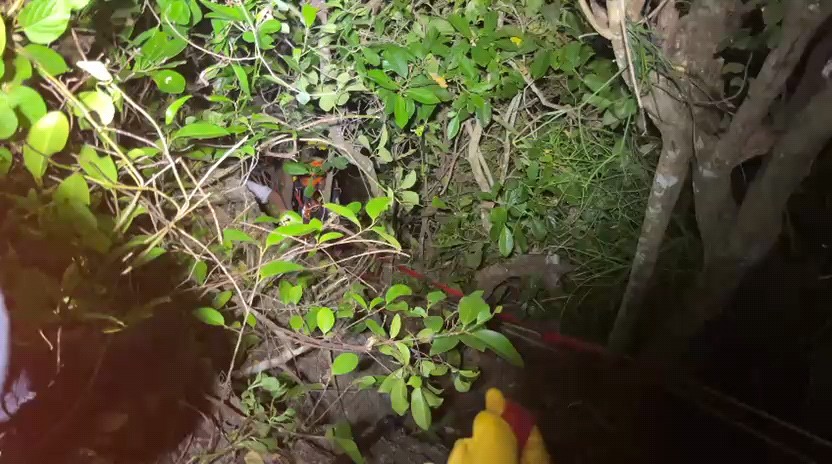 Dua WNA Terjebak Air Pasang di Pantai Padang-Padang Berhasil Diselamatkan